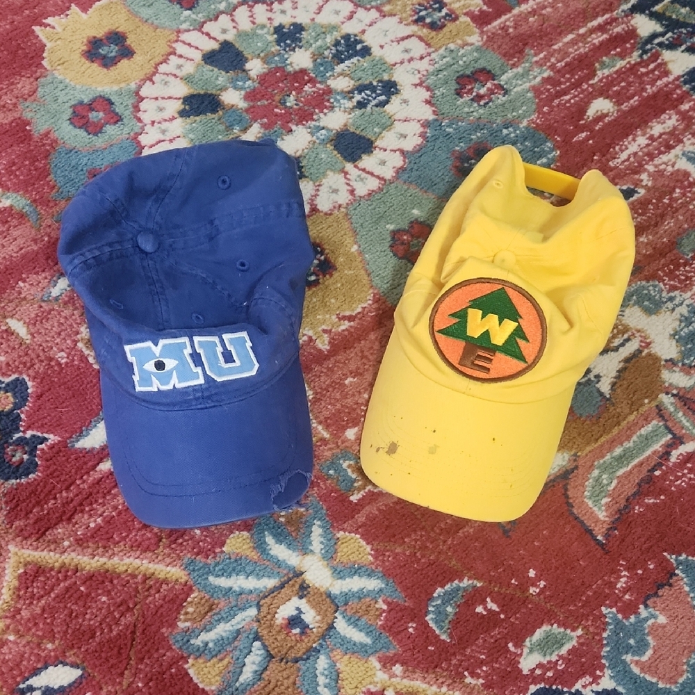 Set Of Disney Hats
